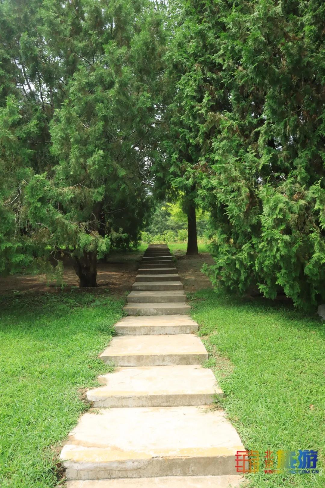 免费！市区就有“小森林”，花海芳香扑鼻！还有美好的祝福送给你