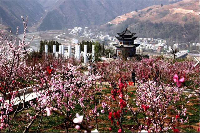 商洛贾平凹的故里,文化的故乡贾平凹