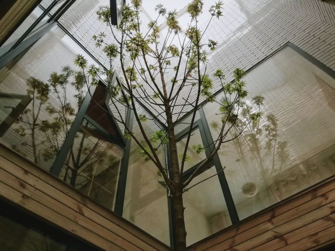 清华状元建筑师回乡,90后清华状元回乡造房