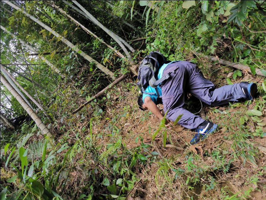 龙岩永福古溪村,福建省永福镇古溪村