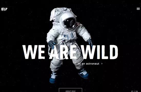 网站建设网站设计方案,网站设计精品网站建设方案