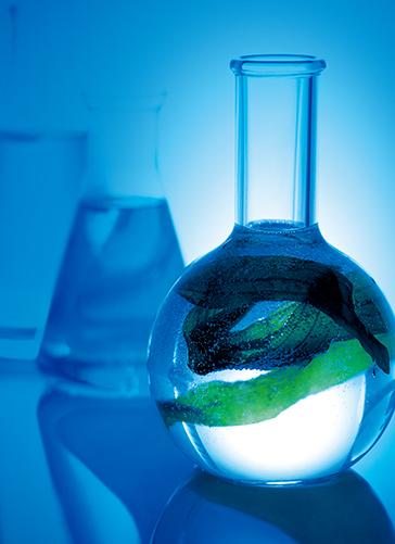 正在爆发的行业,美妆新零售进入爆发期