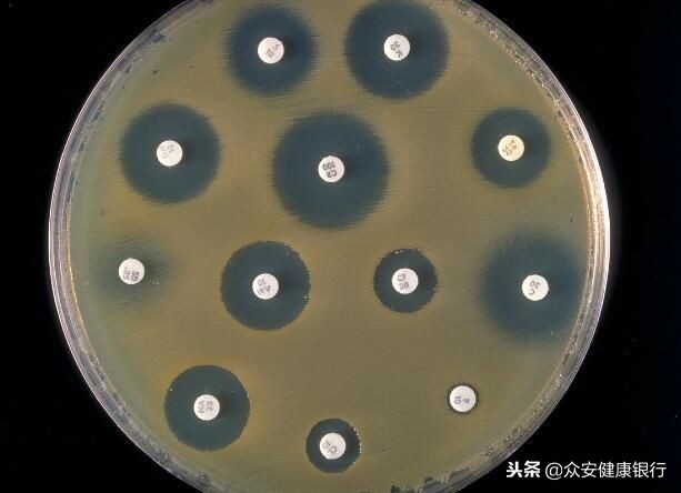 细菌性感冒服用抗生素几天见效,细菌性感染抗生素的使用原则