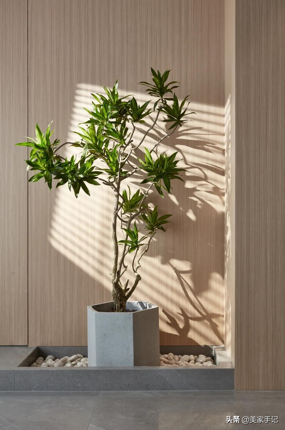 最富有诗意的电视墙,参观朋友新房被惊艳电视墙太棒了