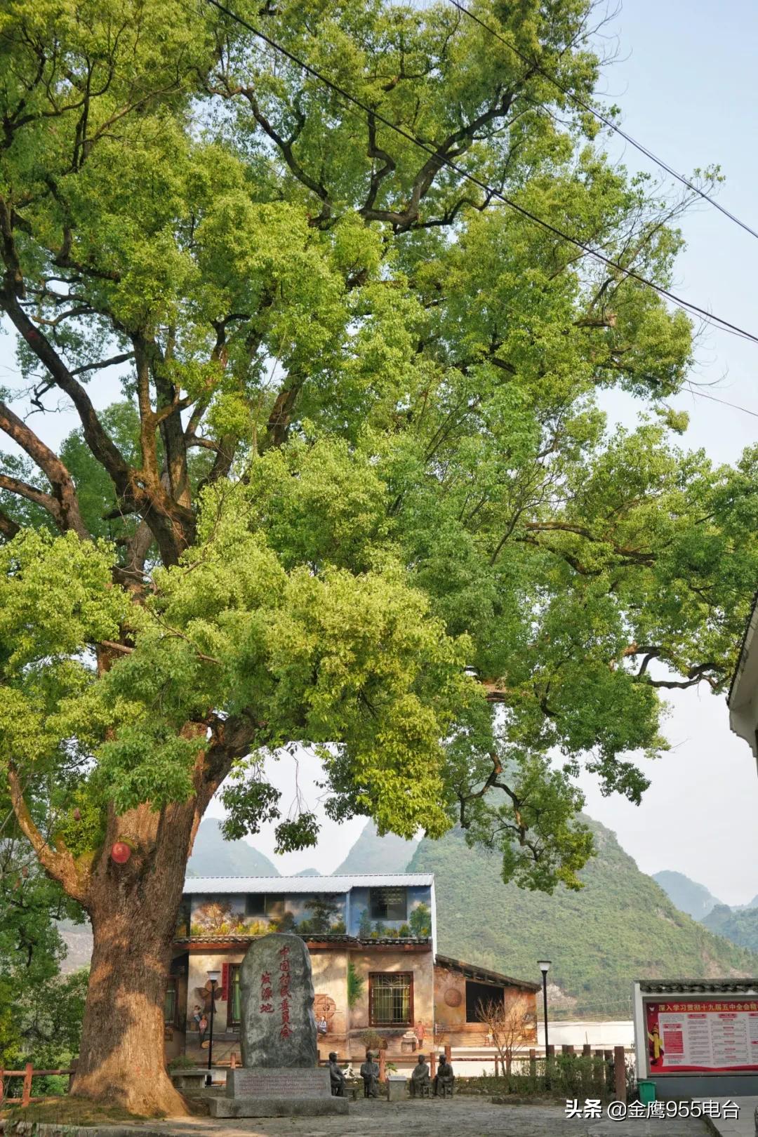 我和我的党支部简介,我和我的支部微视频营子村