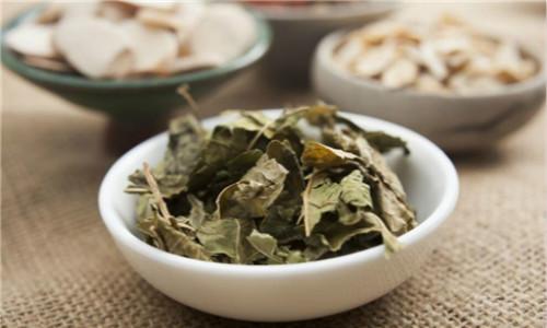 荷叶水减肥成功案例,减肥荷叶茶的原理