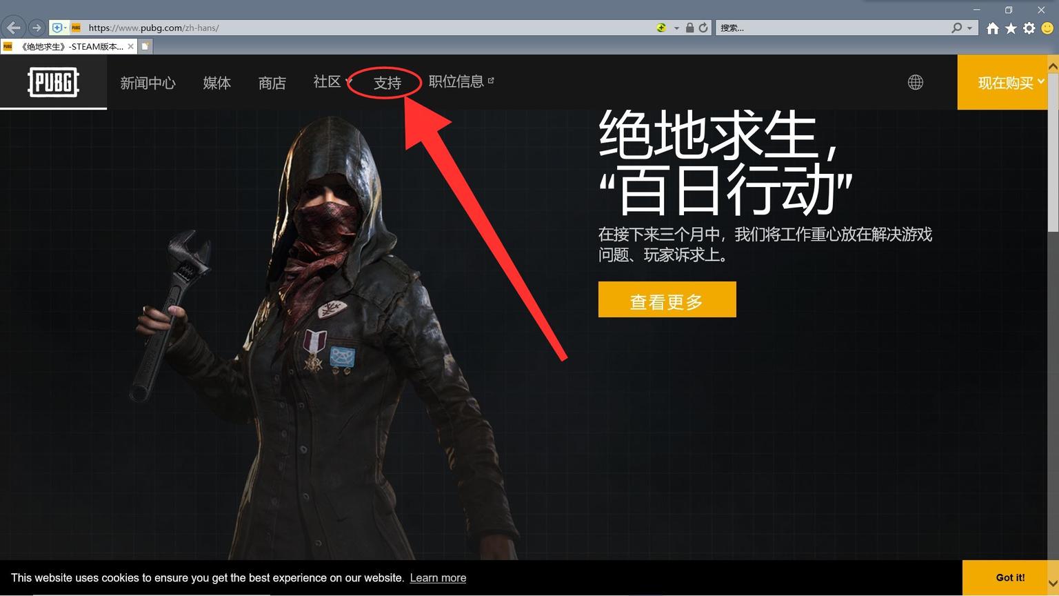 epic端pubg被封禁怎么申诉,pubg被盗号封了一天能解开吗