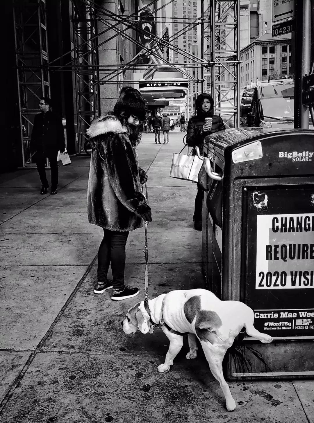 纸上的光影和字：6月30日，来看中国20位诗人的街拍摄影展