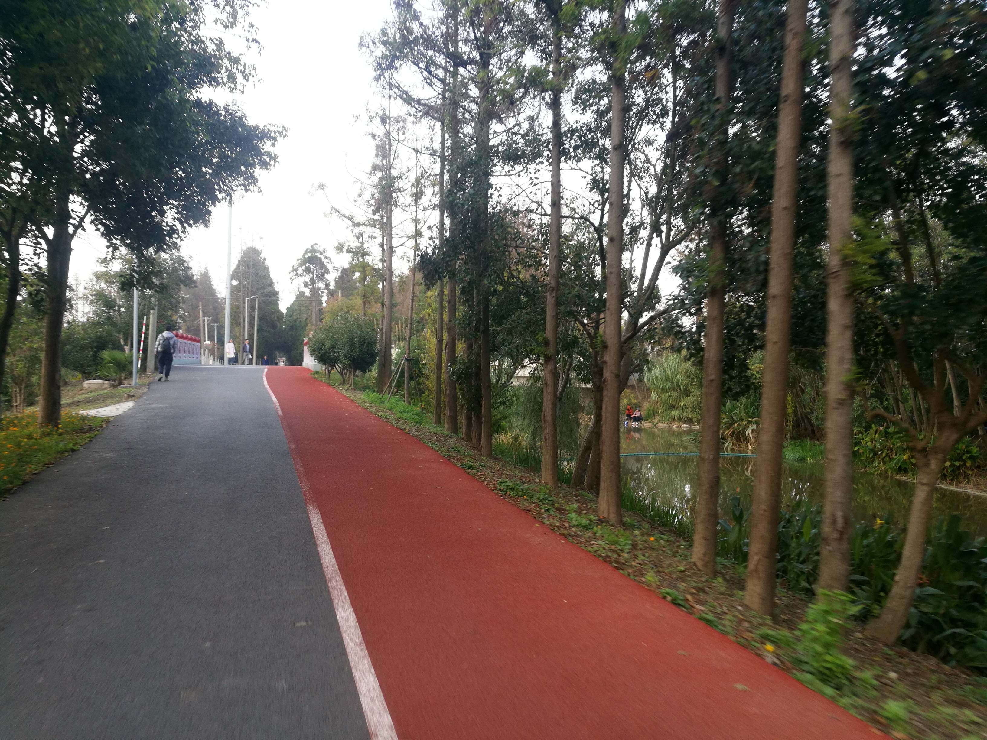 上海长兴岛郊野公园可以看见海吗,长兴岛郊野公园离上海站有几公里