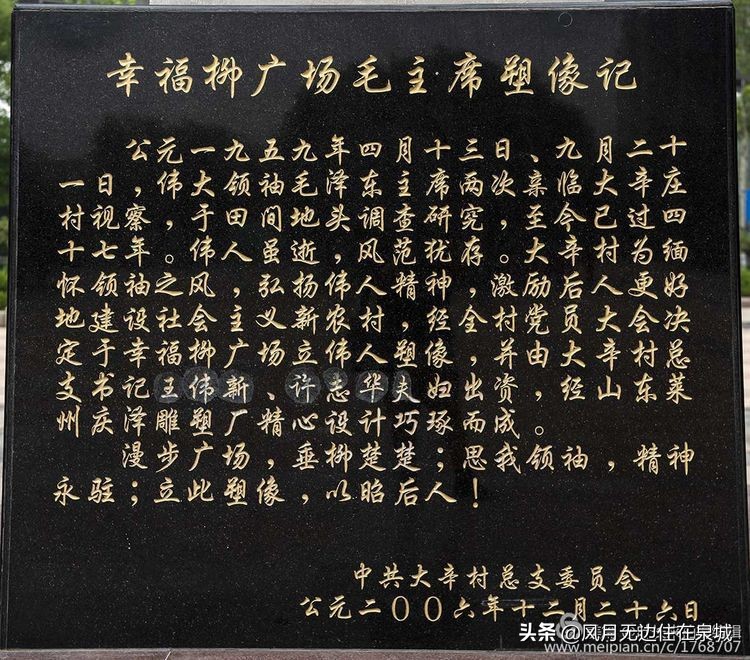 济南一颗梧桐树,济南的法国梧桐