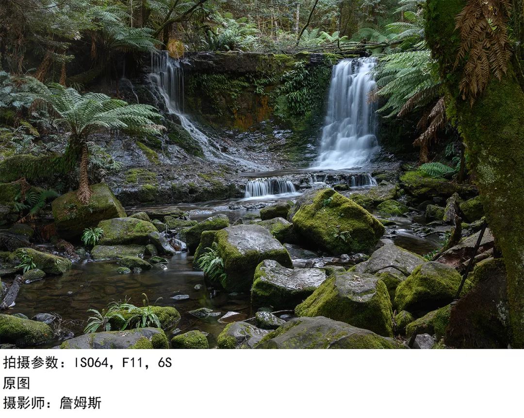 黑底植物拍摄技巧,摄影技巧如何拍摄黑色背景