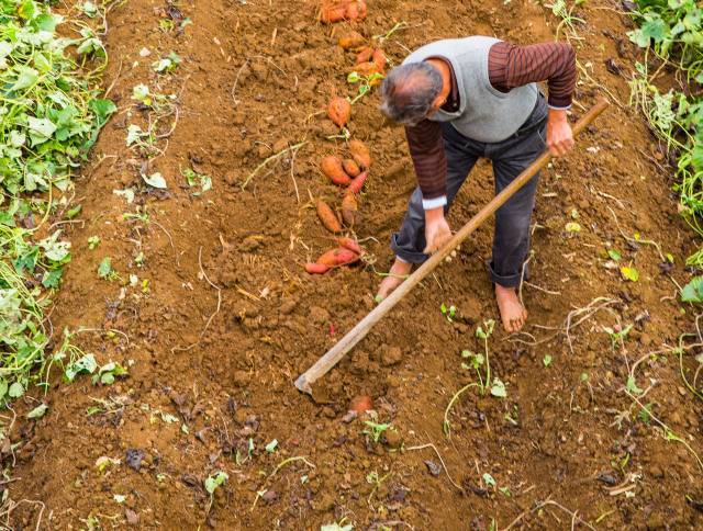 洛江虹山生态旅游,洛江虹山最新视频