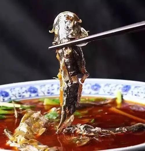 公认最好吃的10种淡水鱼,公认好吃淡水鱼有哪些种类