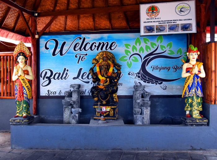 旅行日记印度尼西亚巴厘岛,巴厘岛游记录