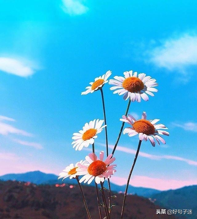 早安经典语录发朋友圈,早安正能量接地气简单语录