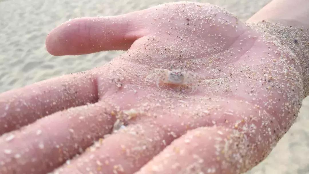 日照免费海滩推荐十一,十一去哪里玩人少风景还好