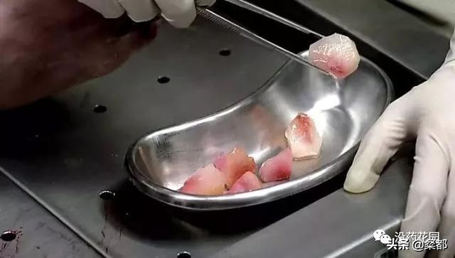 韩国真实命案电影解说,韩国最变态的连环杀人案改编电影