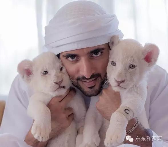 赌王何鸿燊的帅气照片,赌王何鸿燊年轻照帅