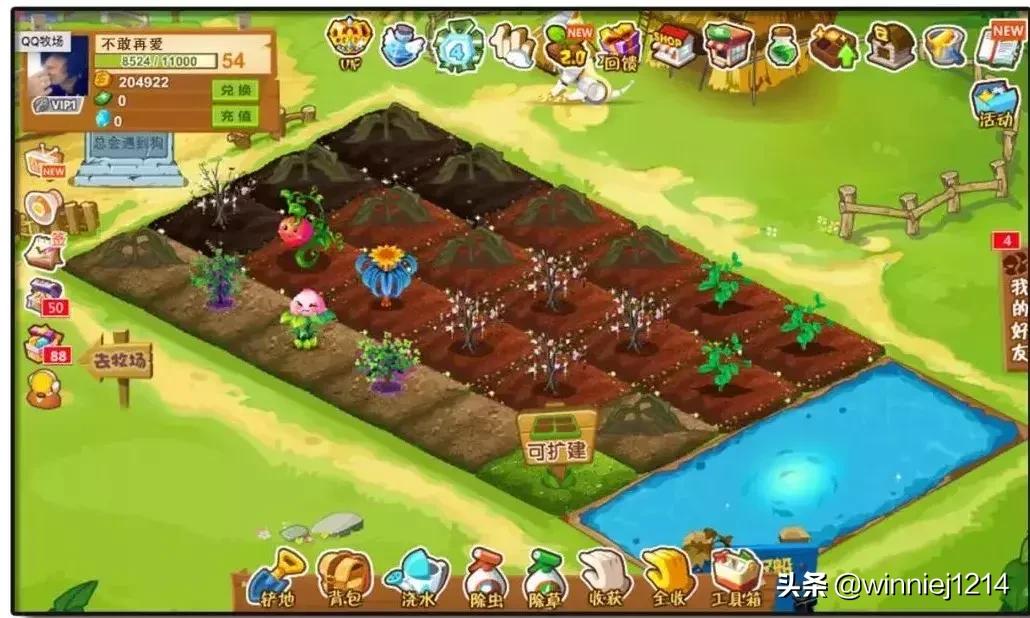 再见了!QQ!帐号注销来了!但第一批尝试的人…