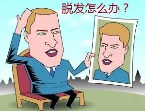 脱发请认真止脱,脱发人群的十个问题