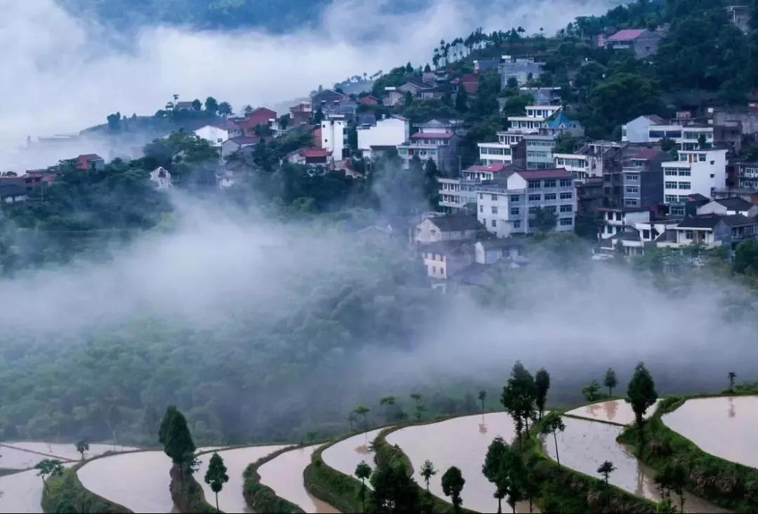 楠溪江为什么叫山水画摇篮,中国山水画林泉高致