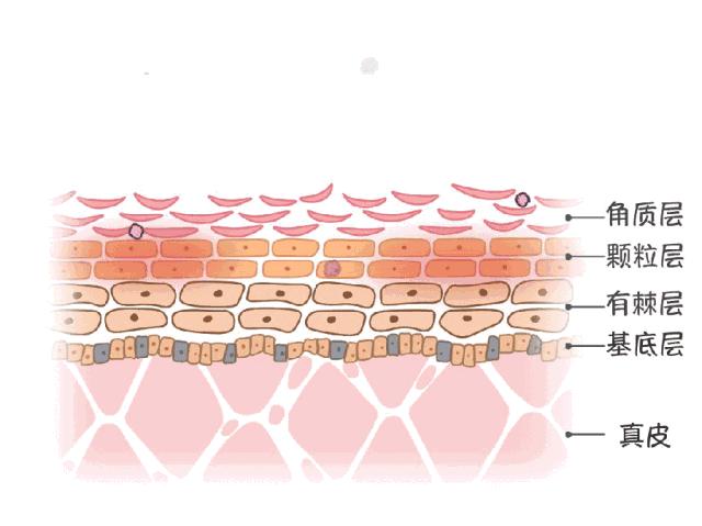 三生三世只为你原唱视频,三生三世只为你