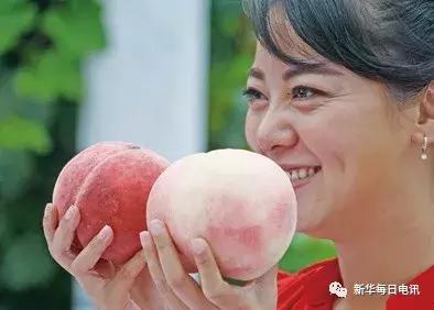 “世界最大桃园”蕴藏的乡村振兴“密码”