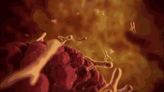 发烧咳嗽流鼻涕是肺炎支原体,发烧感冒咳嗽流鼻涕是甲流吗