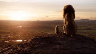 狮子王辛巴成长之路,狮子王辛巴从小变成雄狮