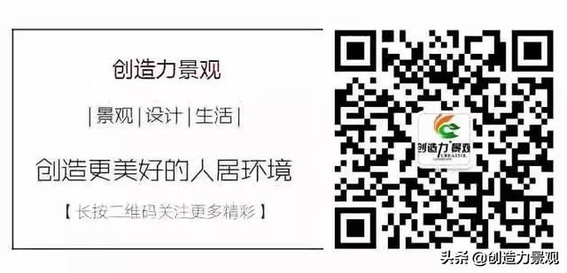 适合庭院的四季花,庭院最好养最漂亮四季常开的花