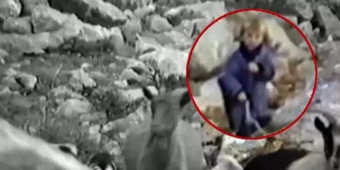 地表最强软妹,最强软妹莫德里奇