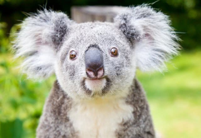 去广州旅游攻略长隆动物园,亲子游广州长隆动物园