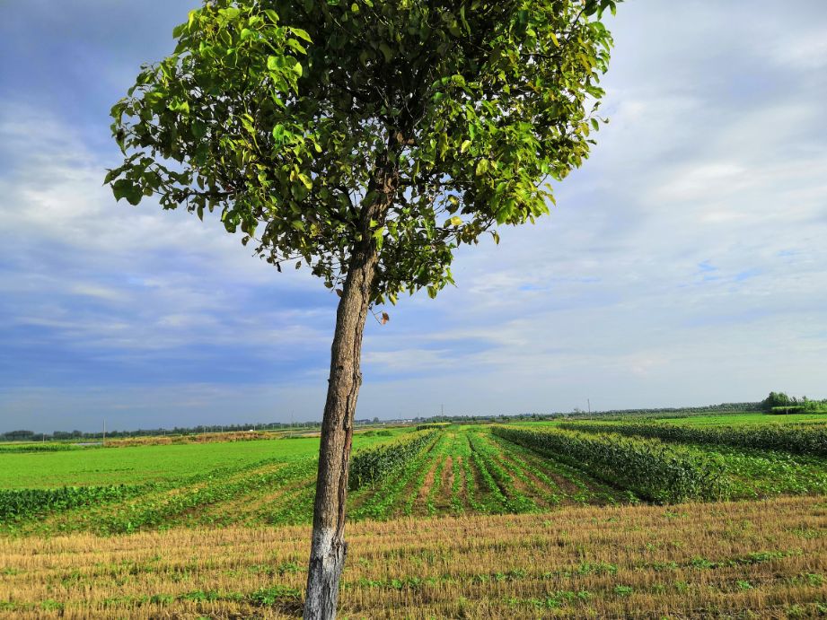 当你遇到恶意攻击怎么办?不要慌,问问运营爸爸