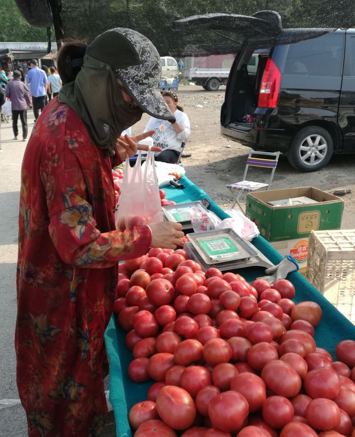 漫山花如雪，风吹暗香来