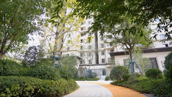 从上海到成都再到郑州，文化符号价值将被再次演绎