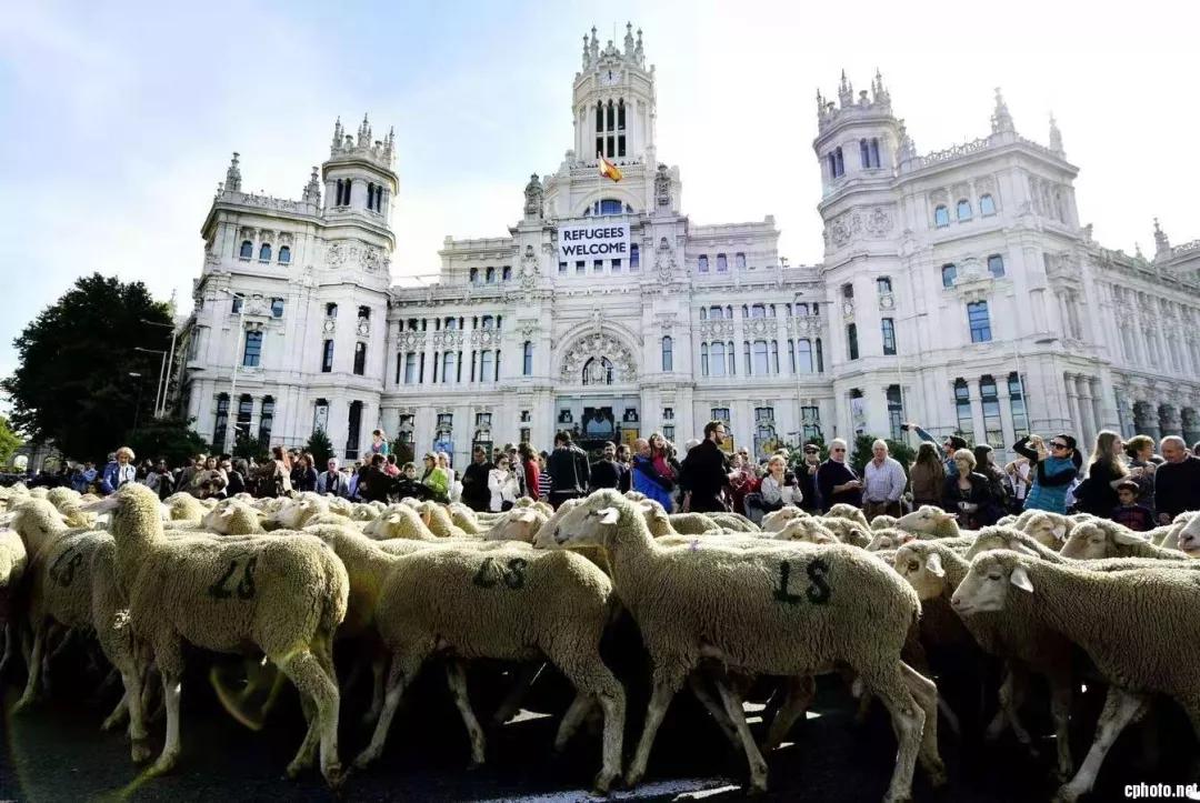 十大建议买的羊奶粉有哪些品牌,羊奶粉哪个牌子的奶质好一点