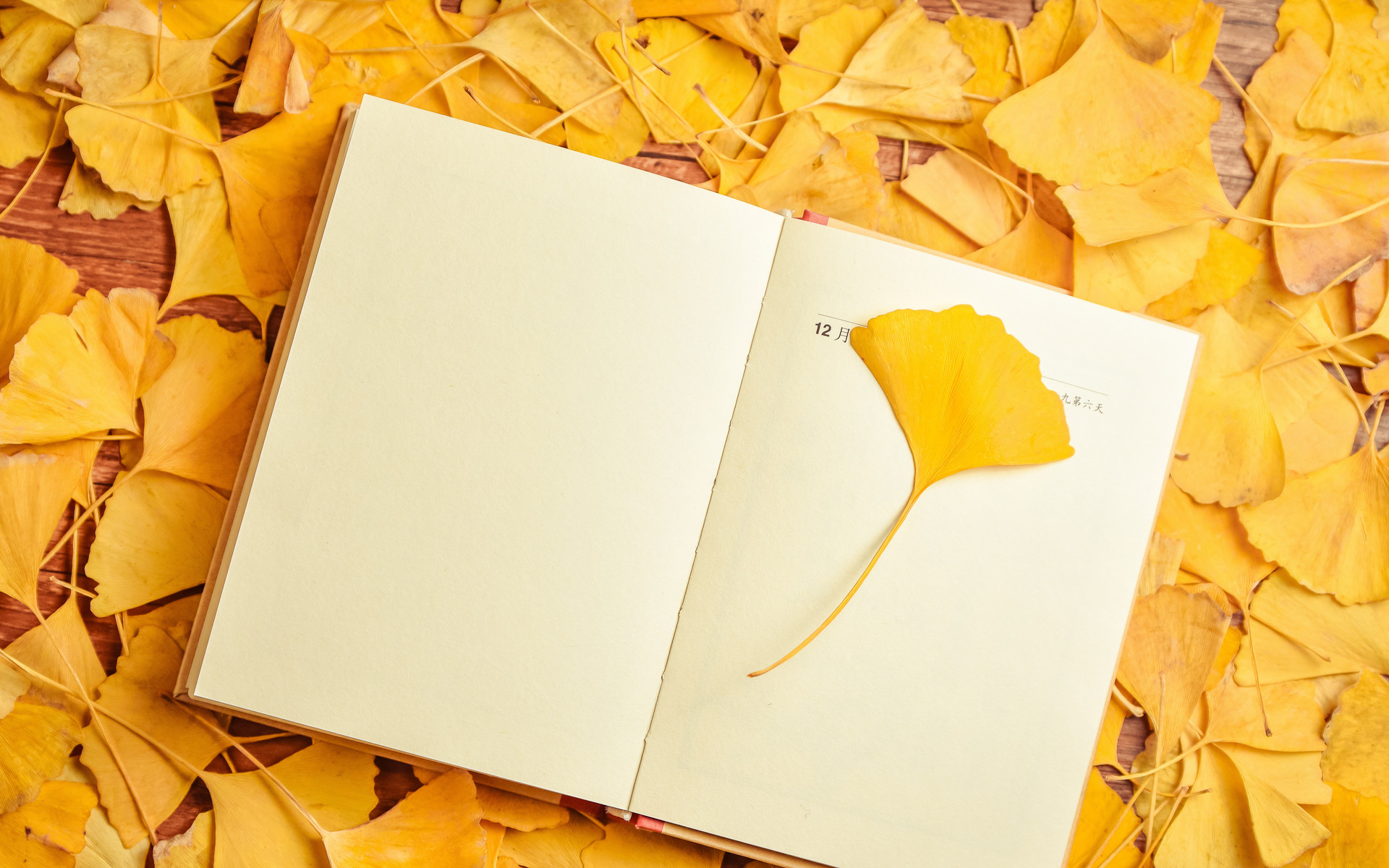 请假条规范写作,不规范的请假条内容范文