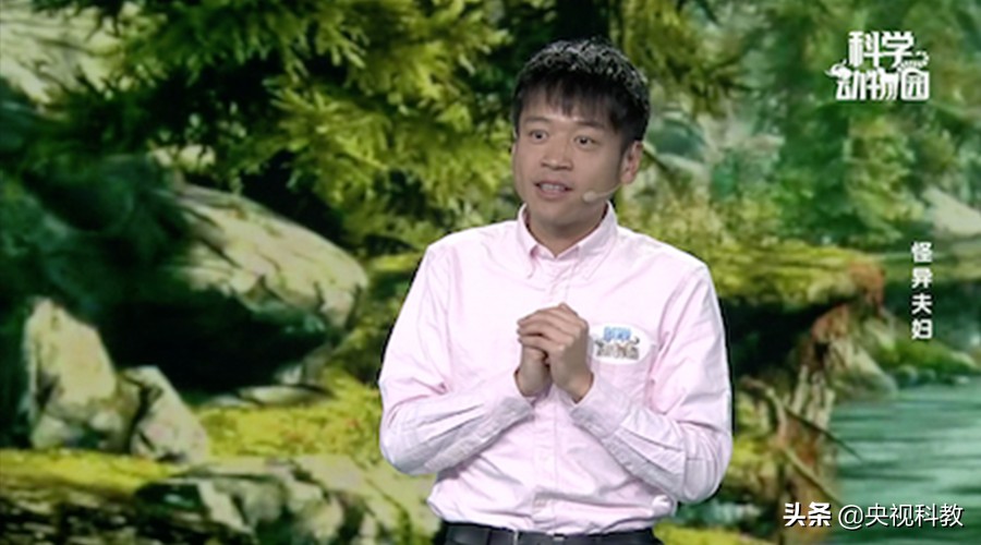 澶ц穼鐪奸暅,澶ц穼鐪奸暅鍜屽嚭涔庢剰鏂欑殑鍖哄埆