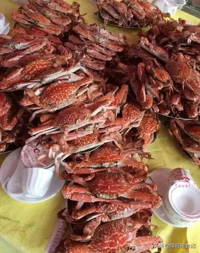 湛江海鲜口碑,湛江海鲜排档十大排行