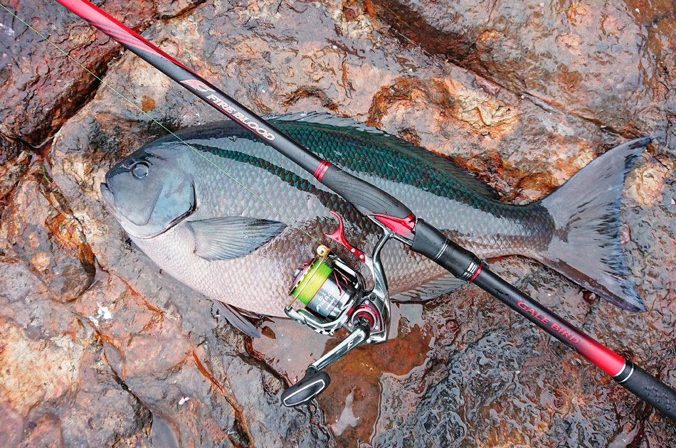 新手选怎么样的矶竿,新手选矶竿选多长合适