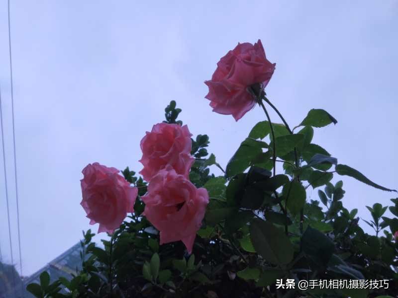 拍照就像淘金！稍不留神，“美”就溜了：这些例子就是证明