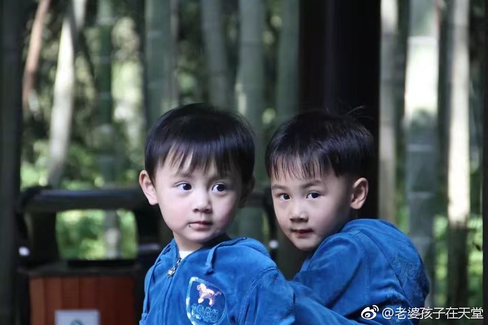 暖暖真的是林生斌的第二个孩子吗,妻儿离开一年林生斌的近况