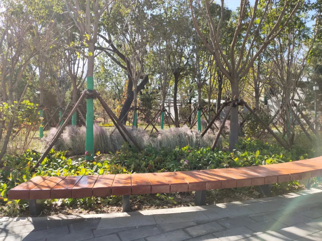 天坛公园周边,天坛旁边的公园