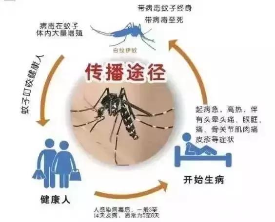 一个月疫情的死亡率,近一个月疫情有多少人死