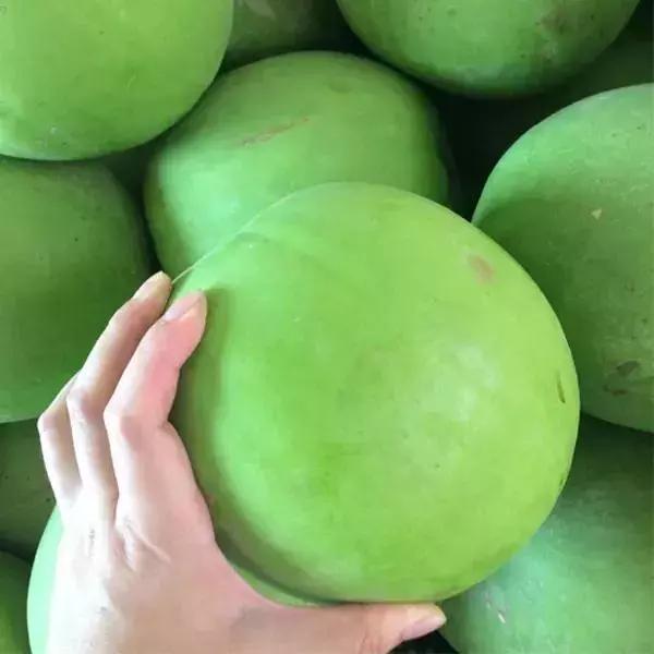 适合农民种植的致富项目,山区农民致富好项目