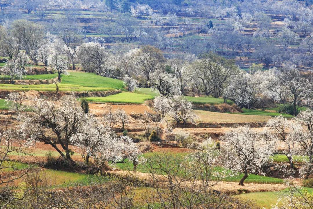 9个国内绝美小众旅行景点,国内必去的5个小众旅游景点