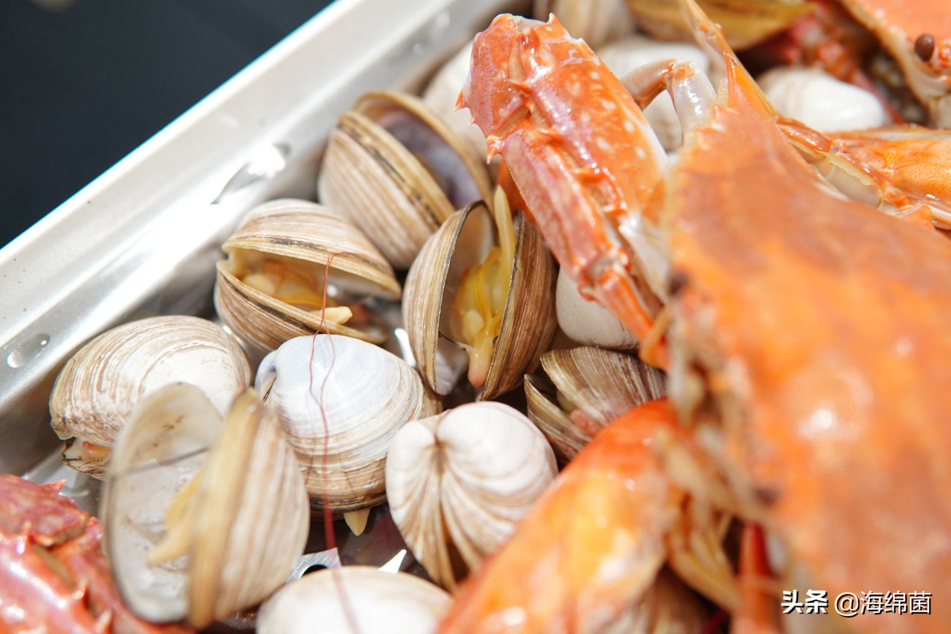 bolali博拉利多功能蒸汽料理锅,蒸汽桑拿锅测评