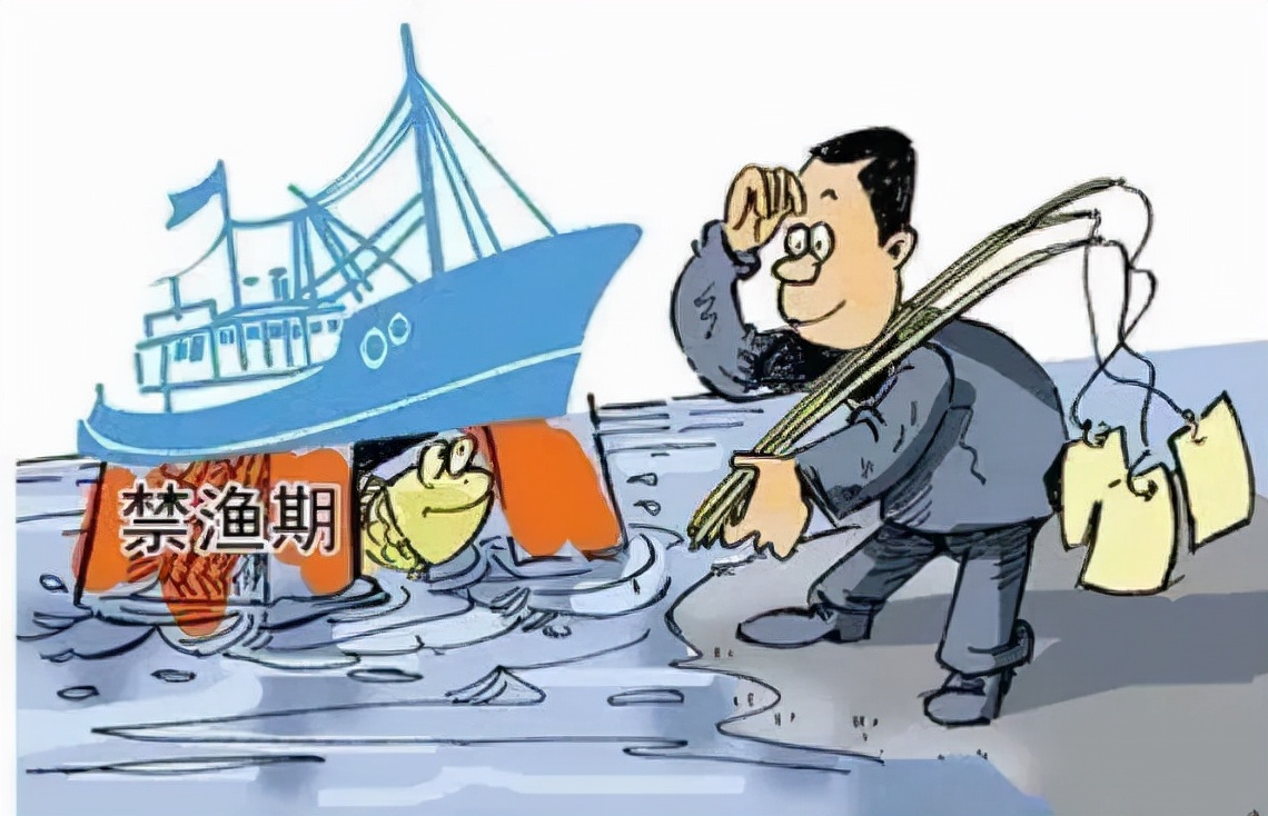 中俄两大界江进入禁渔期,黑龙江中俄界湖兴凯湖进入冬捕期