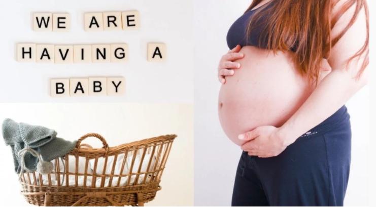 人生而有欲全文翻译,人生而有欲原文