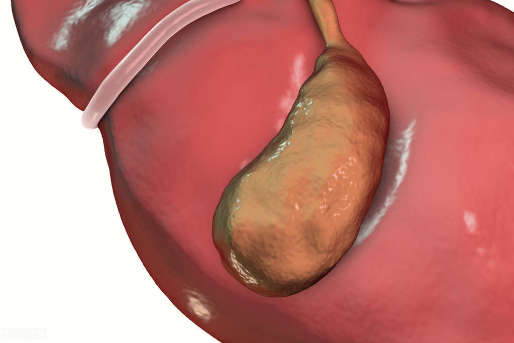 胃胀、反酸还口苦?这种胃病并不特殊,千年前的古籍就有治疗方法